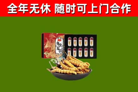 丰台烟酒回收冬虫夏草礼盒.jpg